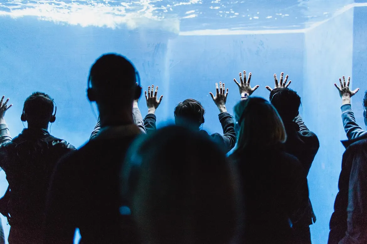 A visitor using the interactive device at Melbourne Zoo.